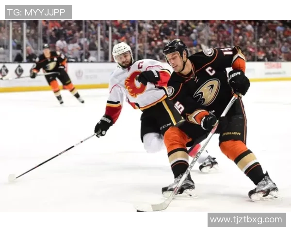 杭州排球队实力对比深度解析各队优势与挑战全面剖析