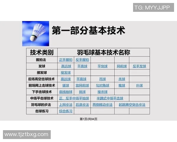 杭州羽毛球队在挑战赛中的默契配合与战术执行分析