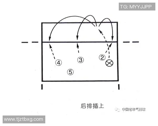 武汉排球队控制打法深度分析与战术解读探讨