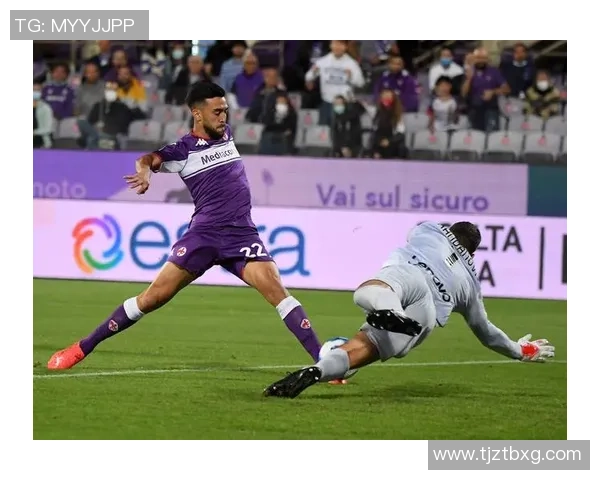 足球明星尼古拉斯的传奇之路与辉煌成就揭秘 足球明星尼古拉斯的传奇之路与辉煌成就揭秘