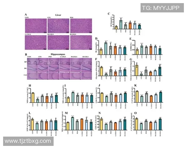 独家分析：北京乒乓球队的配合对比_1